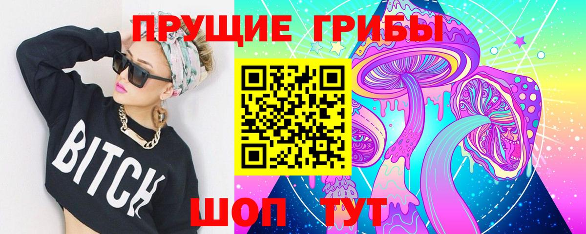 Галлюциногенные грибы Cubensis Ковров